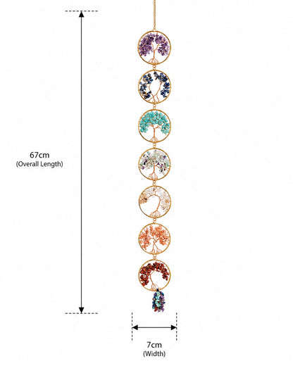 Seven Seasons of Light